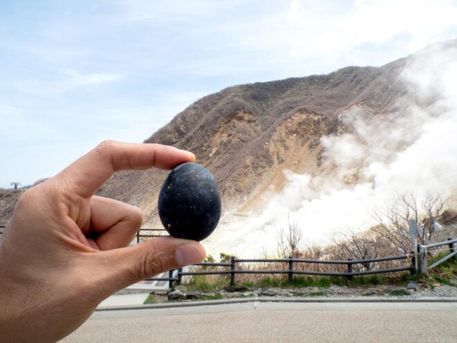 From Tokyo: Scenic Mt.Fuji and Hakone One Day Tour - Tour Experience