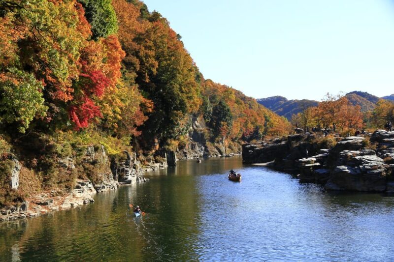 From Tokyo: Seibu Railway 1 Day Pass and Nagatoro - Good To Know