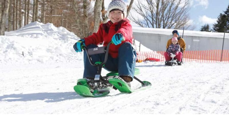 From Tokyo: Ski DayTrip with Gears & Wears to Hodaigi - The Review Insights: Authentic Perspectives from Travelers