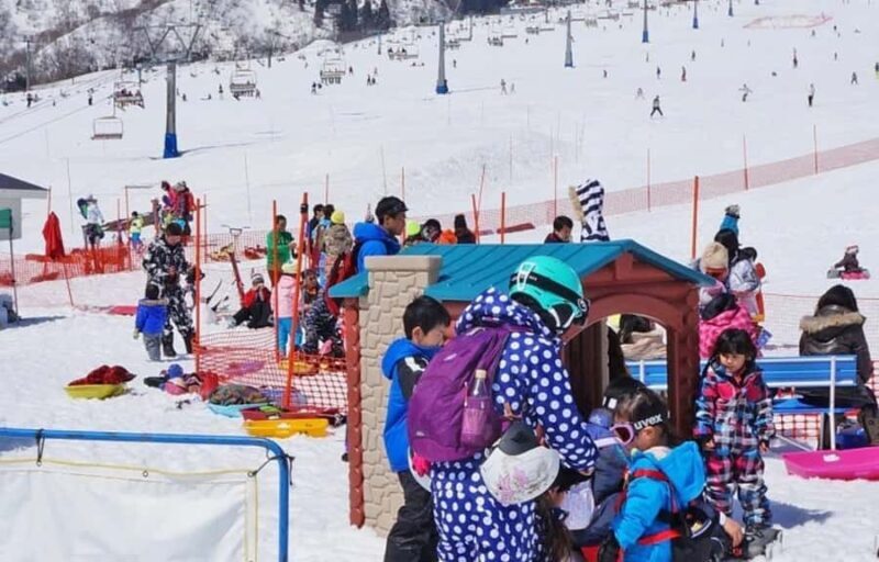 From Tokyo Skiing Day Tour: Niigata Iwappara Ski Resort - A Closer Look at the Iwappara Ski Resort Tour