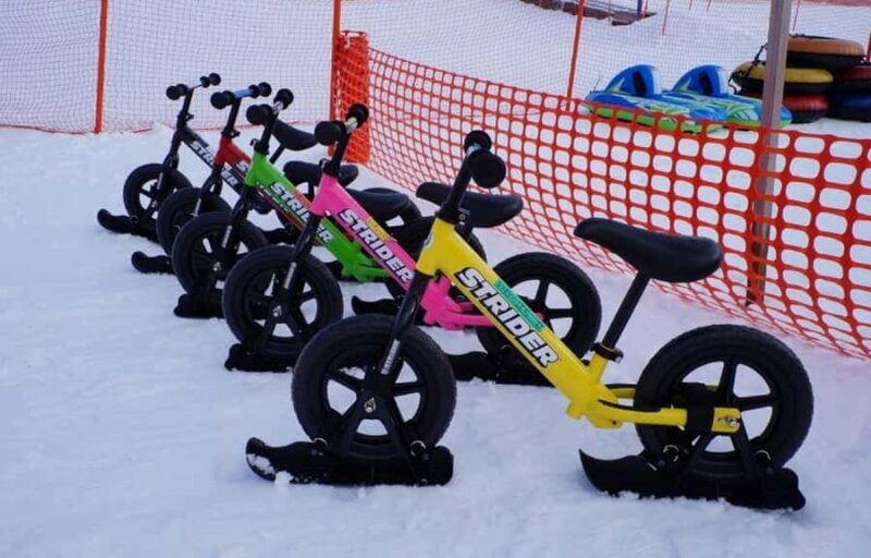 From Tokyo Skiing Day Tour: Niigata Iwappara Ski Resort - Who Would Love This Tour?