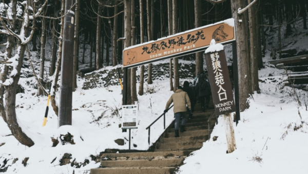 From Tokyo: Snow Monkey Park and Miso Production Day Tour - Booking Your Tour