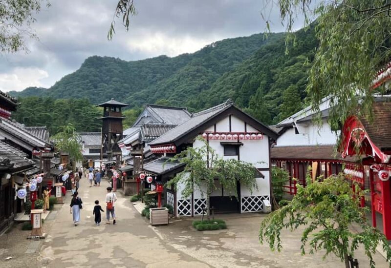 From Tokyo: Snow Monkey Park Private Tour With English Guide - The Sum Up