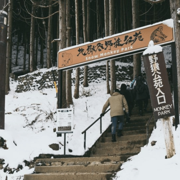 From Tokyo: Snow Monkey Park & Zenko-ji Temple Private Tour - Frequently Asked Questions