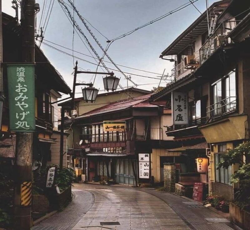 From Tokyo: Snow Monkey & Zenko-ji Temple Customizable Tour - The Sum Up