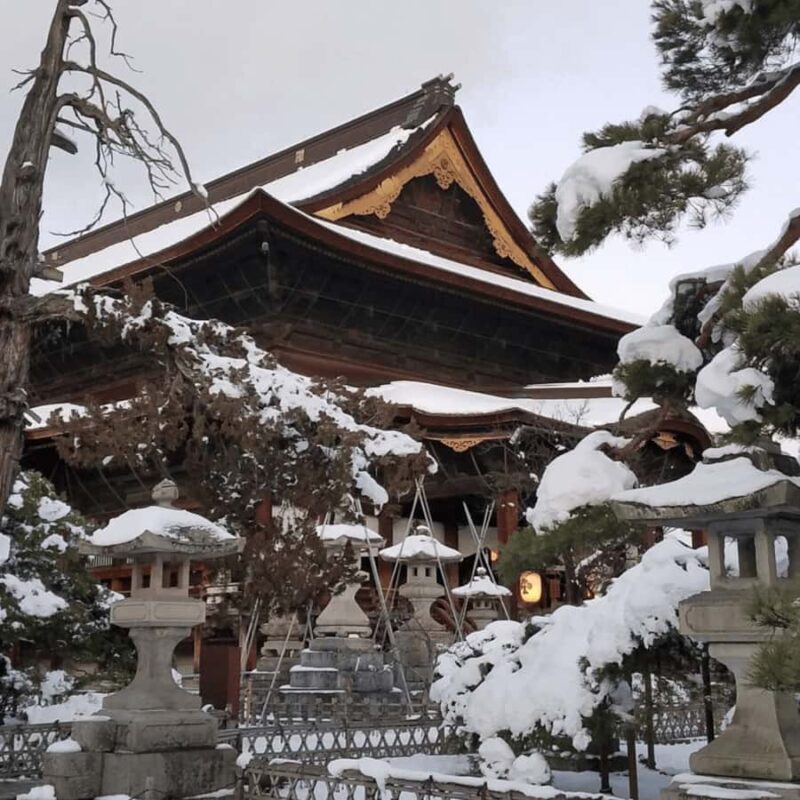 From Tokyo: Snow Monkey & Zenkoji Temple Tour with Guide - Exploring Nagano in Style and Comfort
