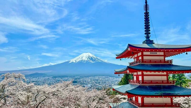 From Tokyo: Tailor-Made Fuji Private Tour: Culture & Views - An In-Depth Look at the Experience