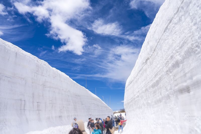 From Tokyo: Tateyama Kurobe Alpine Route "Snow Wall" & Shirakawa-go - Why the snow walls are worth planning around