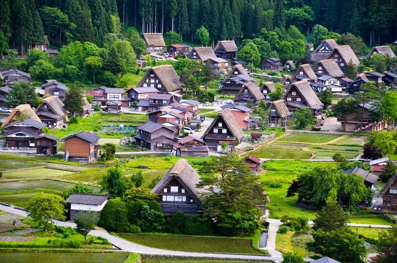 From Tokyo: Tateyama Kurobe Alpine Route "Snow Wall" & Shirakawa-go - Should you book this two-day tour?