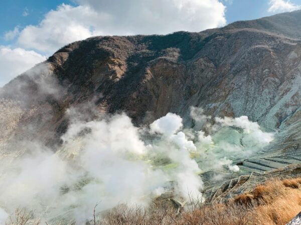 From Tokyo: The Perfect Hakone & Oshino Hakkai Day Trip - Inclusions and Exclusions