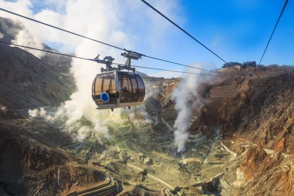 From Tokyo: The Perfect Hakone & Oshino Hakkai Day Trip - Customer Reviews and Ratings