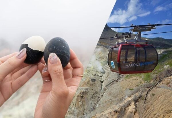 From Tokyo: The Perfect Hakone & Oshino Hakkai Day Trip - Accessibility Information