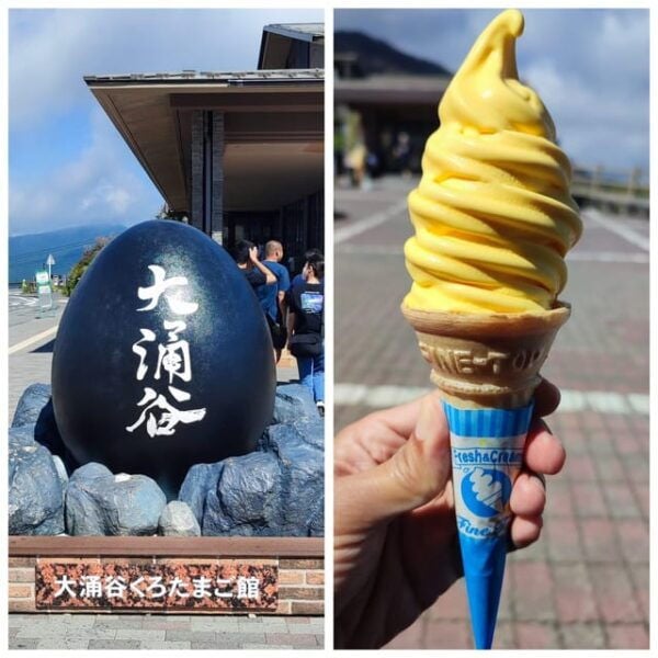 From Tokyo: The Perfect Hakone & Oshino Hakkai Day Trip - Important Restrictions