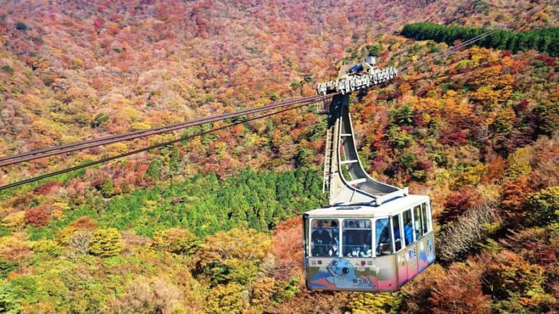 From Tokyo to Hakone: Train Tickets and Hakone Free Pass - The Itinerary in Detail