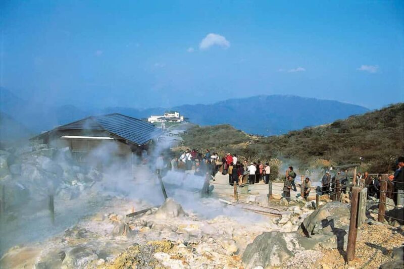 From Tokyo to Hakone: Train Tickets and Hakone Free Pass - Authentic Travel Tips Based on Reviews