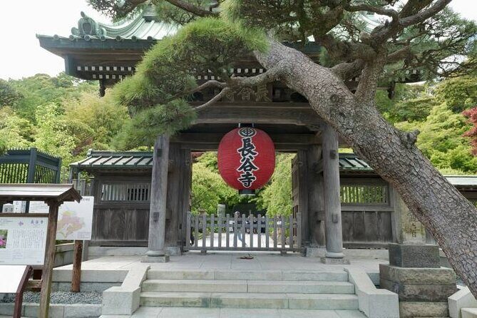 From Tokyo To Kamakura Day Trip With English Guide - The Experience: What to Expect from This Kamakura Day Trip