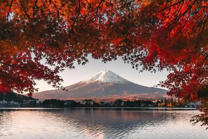 From Tokyo to Mount Fuji Instagram Worthy Full Day Tour - Booking and Confirmation Process