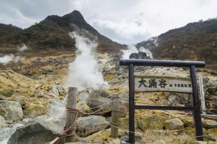 From Tokyo to Mt.Fuji ,Hakone to Anywhere in Japan - Pricing Details