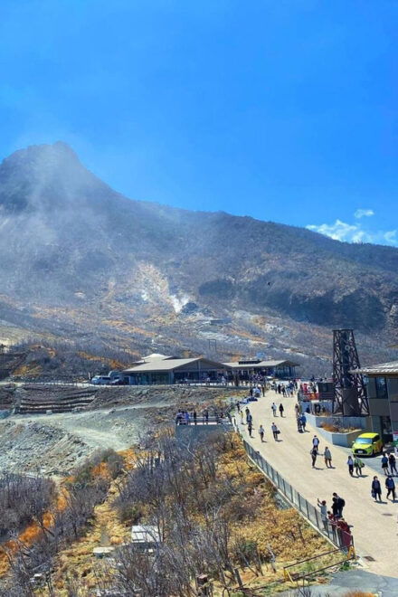 From Tokyo to Mt.Fuji ,Hakone to Anywhere in Japan - Experience Highlights