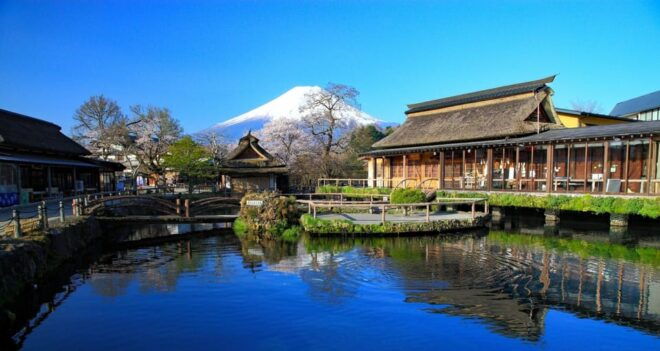 From Tokyo to Mt.Fuji ,Hakone to Anywhere in Japan - Daily Itinerary