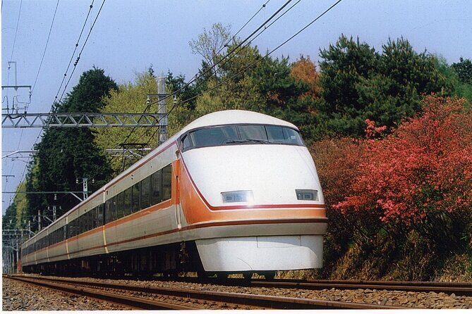 From Tokyo to Nikko: Limited Express Tickets with Souvenir - Final Thoughts