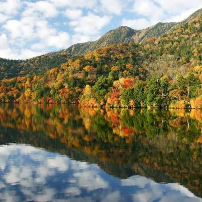 From Tokyo To Nikko Private Day Tour With English Guide - Final Thoughts