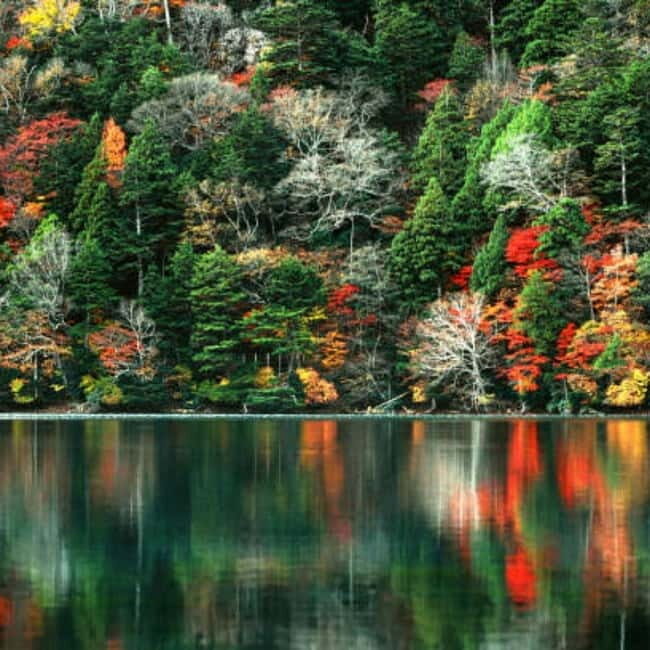 From Tokyo To Nikko Private Day Tour With English Guide - FAQ