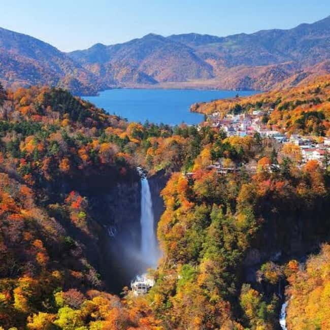 From Tokyo To Nikko Private Day Tour With English Guide - A Closer Look at the Tour Experience