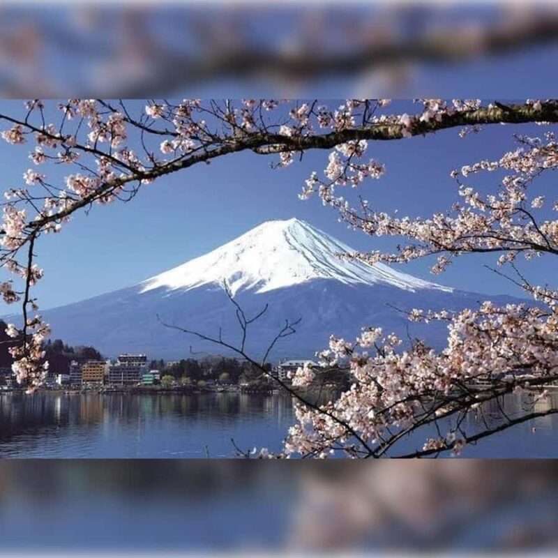From Tokyo to the Clouds:A Private customize Mount Fuji Tour - From Tokyo to the Clouds: A Private Customizable Mount Fuji Tour