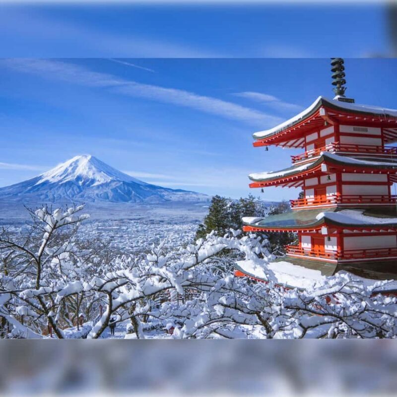 From Tokyo to the Clouds:A Private customize Mount Fuji Tour - Good To Know