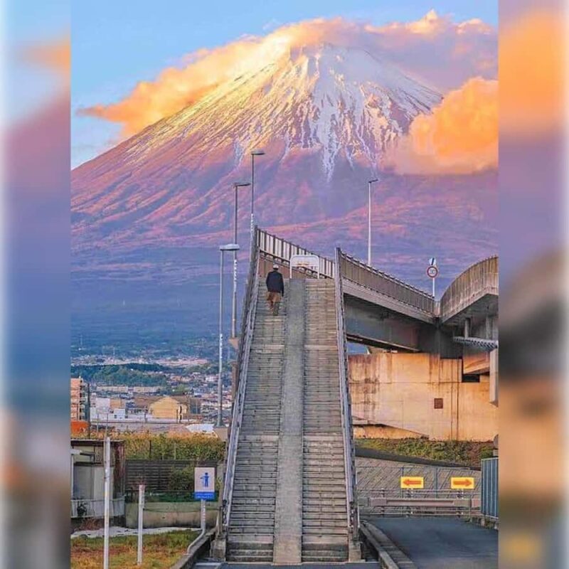 From Tokyo to the Clouds:A Private customize Mount Fuji Tour - A Closer Look at the Itinerary and Highlights