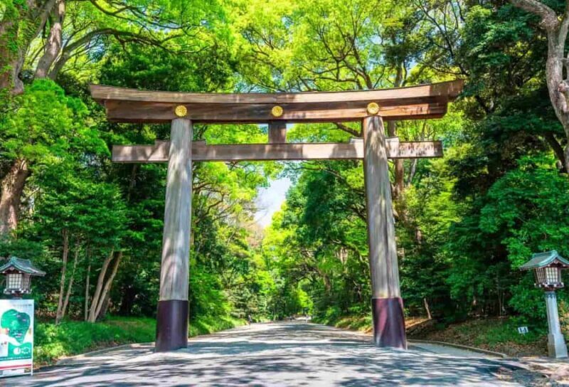 From Tokyo: Tokyo City One-Day Private Tour with Guide - An In-Depth Look at the Tour Experience