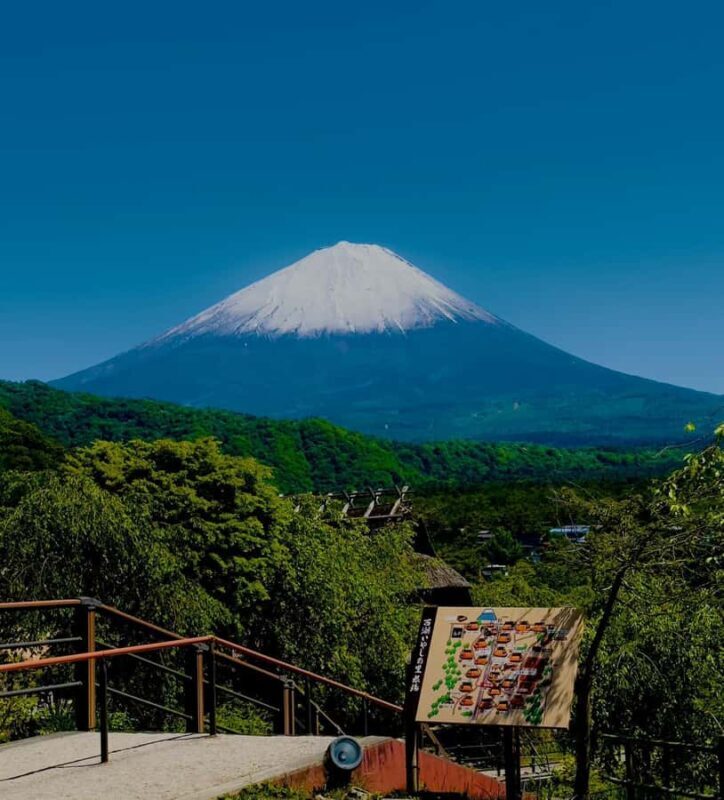 From Tokyo VIP Mt. Fuji VIP Customized Private One Day Tour. - Why This Tour Offers Value