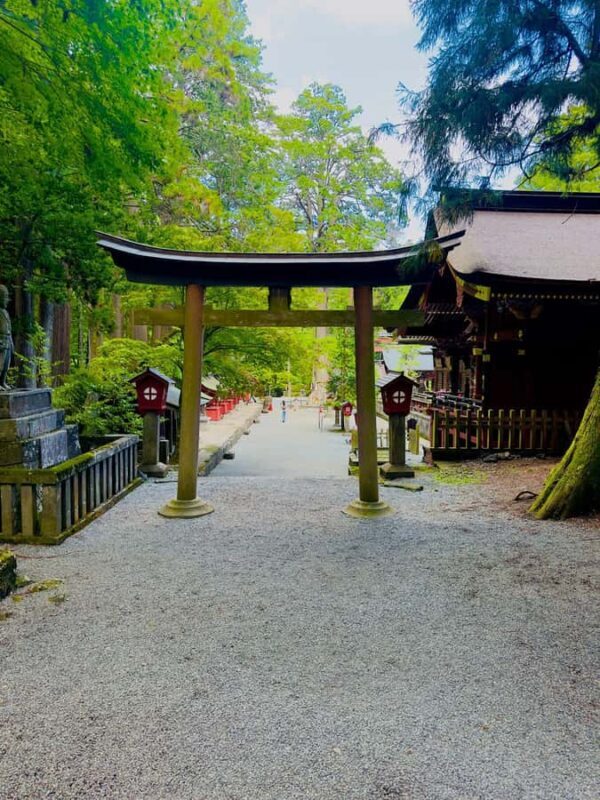 From Tokyo VIP Mt. Fuji VIP Customized Private One Day Tour. - Who Should Consider This Tour?