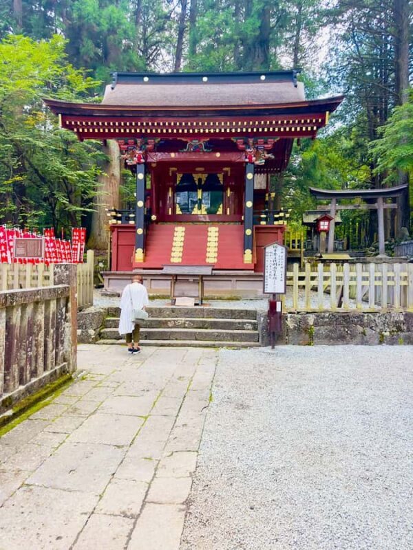 From Tokyo VIP Mt. Fuji VIP Customized Private One Day Tour. - FAQ