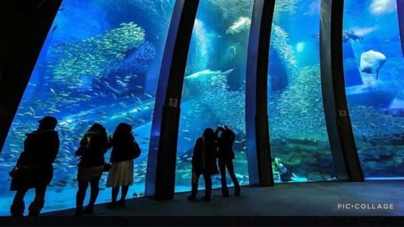 From Tokyo: Yokohama and Tokyo Private Day Tour with Guide - Who Is This Tour Best For?