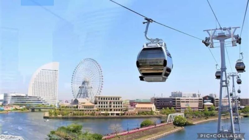From Tokyo: Yokohama and Tokyo Private Day Tour with Guide - The Experience from a Review Perspective