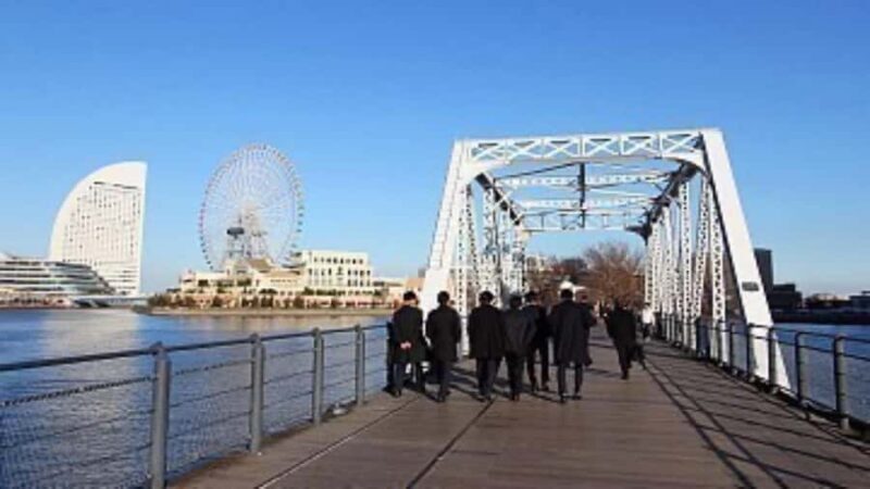 From Tokyo: Yokohama and Tokyo Private Day Tour with Guide - Practical Considerations