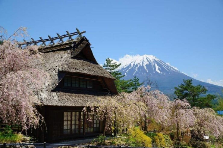 From Tokyo, Yokohama: Mount Fuji Sightseeing Trip - Good To Know