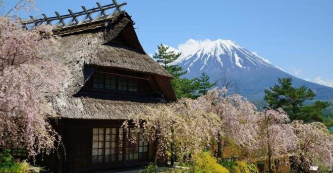 From Tokyo, Yokohama: Mount Fuji Sightseeing Trip - Scenic Highlights