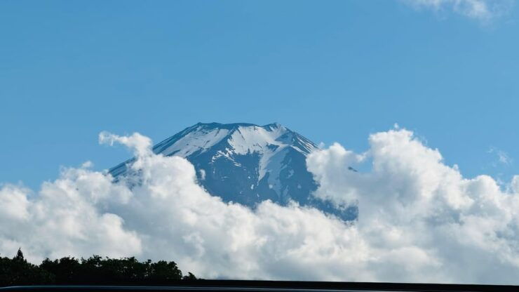 From Tokyo/ Yokohama: Private Day Trip To Mt. Fuji/Hakone - Good To Know