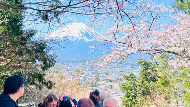 From Tokyo/ Yokohama: Private Day Trip To Mt. Fuji/Hakone - Transportation Details