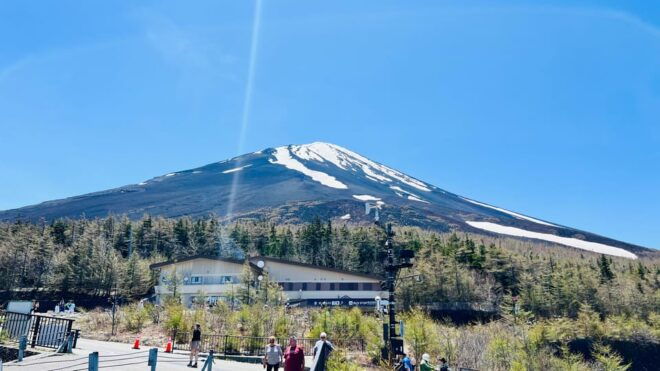 From Tokyo/ Yokohama: Private Day Trip To Mt. Fuji/Hakone - Inclusions and Exclusions