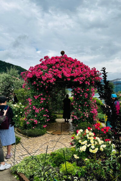 From Tokyo/ Yokohama: Private Day Trip To Mt. Fuji/Hakone - Customer Experiences