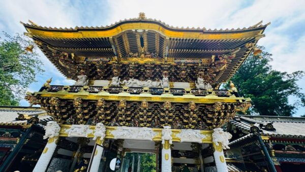 From Tokyo/Yokohama: Private Day Trip To Nikko City - Booking and Cancellation Policies