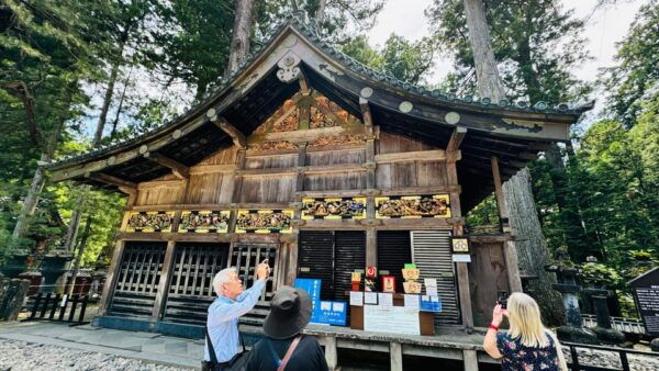 From Tokyo/Yokohama: Private Day Trip To Nikko City - Frequently Asked Questions