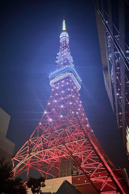 From Tokyo/Yokohama: Private Day Trip To Tokyo - Itinerary Highlights