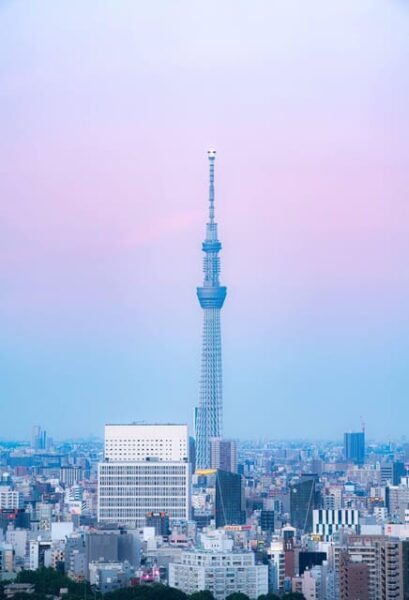 From Tokyo/Yokohama: Private Day Trip To Tokyo - Frequently Asked Questions