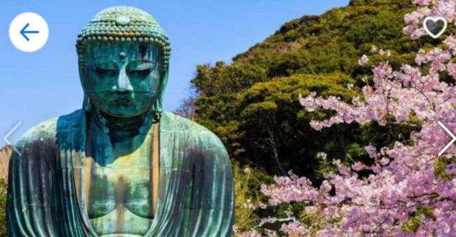 From Tokyo:Kamakura Full Private Customize Tour by Luxuryvan - Inclusions and Exclusions