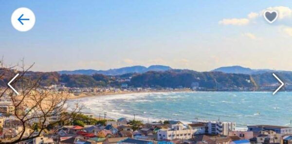 From Tokyo:Kamakura Full Private Customize Tour by Luxuryvan - Important Information